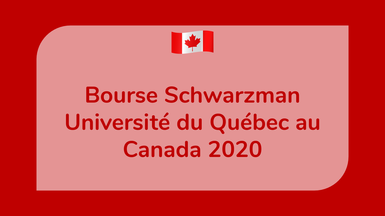 Bourse Schwarzman Université du Québec
