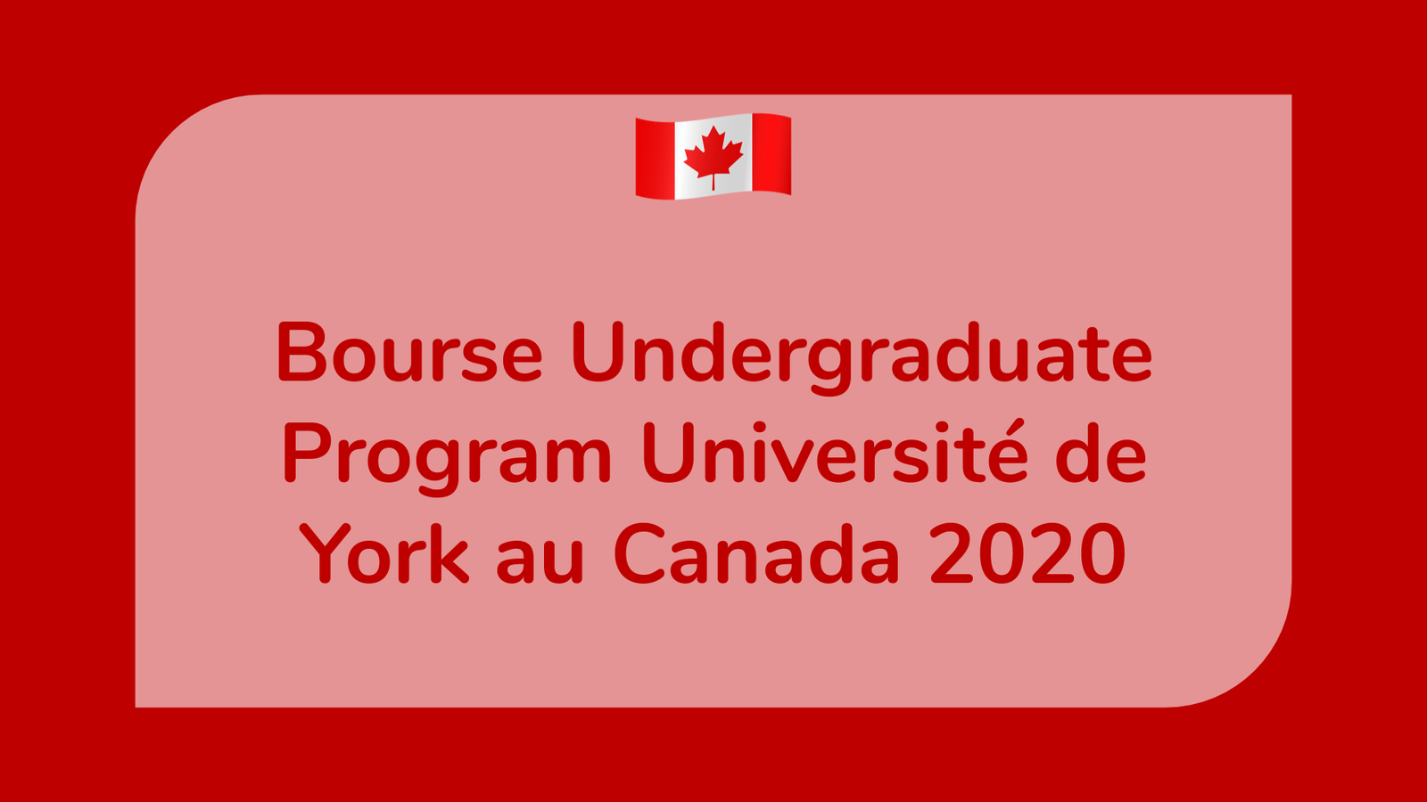 Bourse Undergraduate Program Université de York