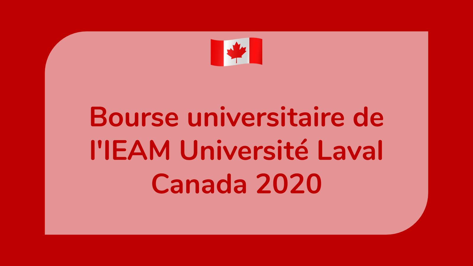 Bourse universitaire de l'IEAM Université Laval