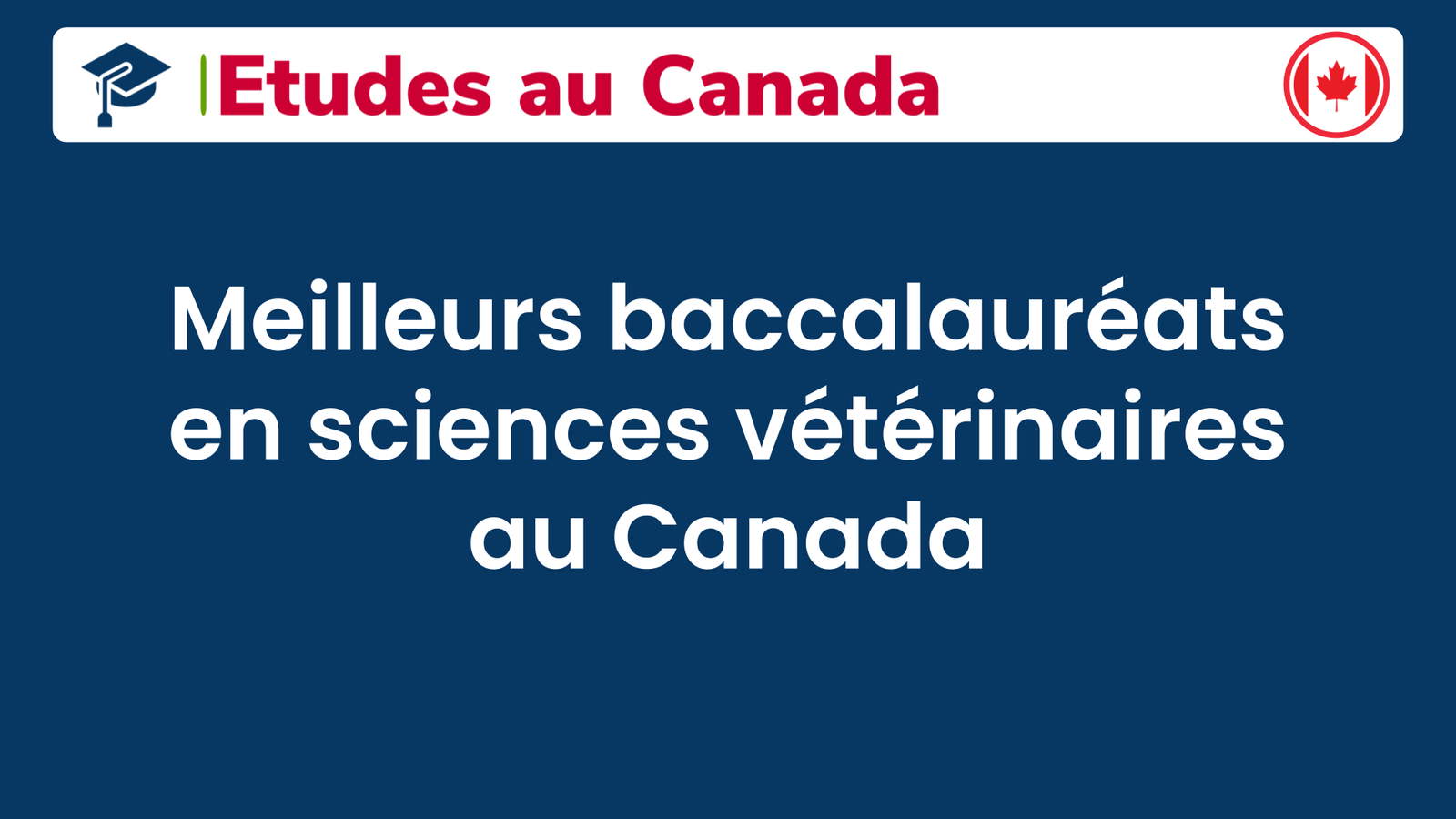 Meilleurs baccalauréats en sciences vétérinaires au Canada